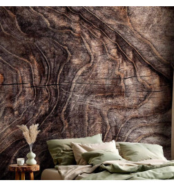 Carta da parati - Signs of the times - an abstract background with the wrinkled bark of an old tree
