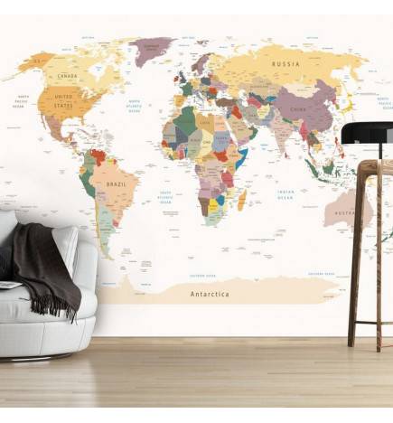 34,00 € Wallpaper - World Map