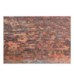 Fotomural - Vintage Wall (Red Brick)