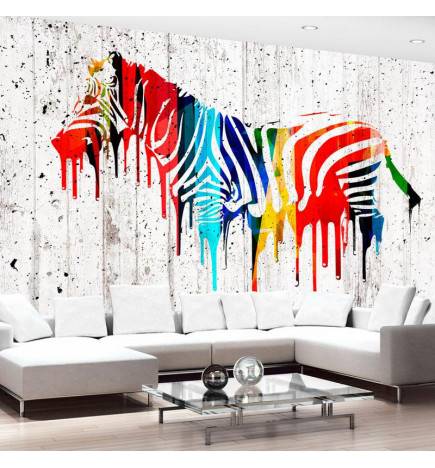34,00 €Fotomurale con una zebra colorata - Arredalacasa