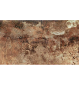 Carta da parati - Time of darkness - composition in pattern of wet concrete in brown tones