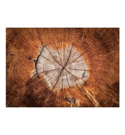 Fotomurale nel cuore del legno - varie misure - Arredalacasa