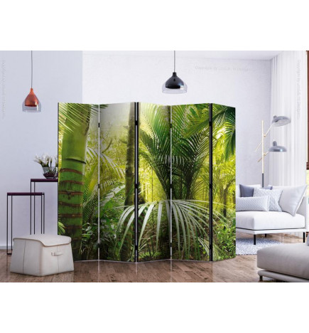 128,00 € Sirm - Green alley II