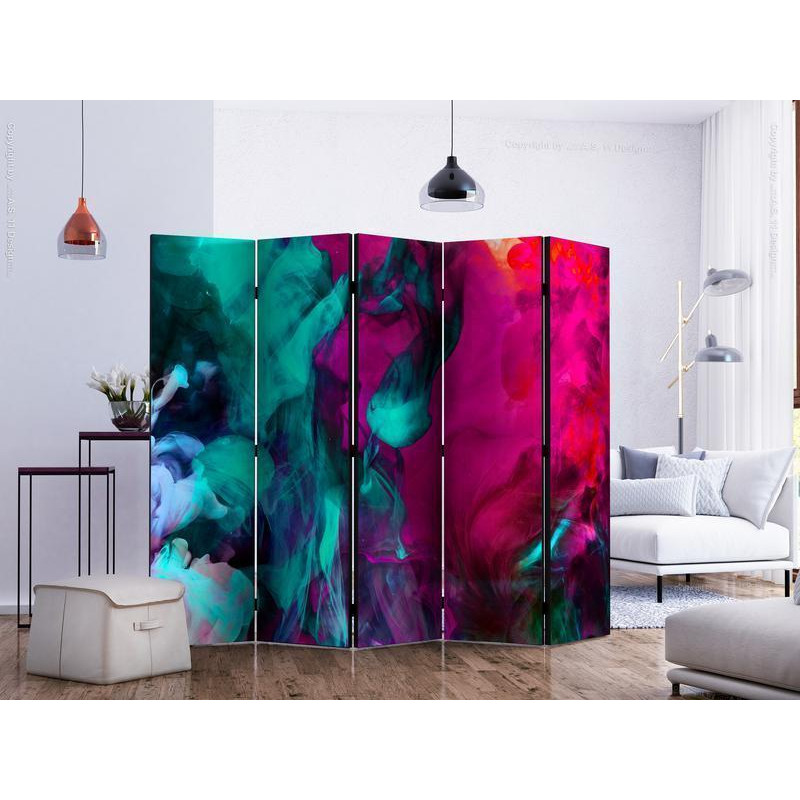 128,00 € Room Divider - Color madness II