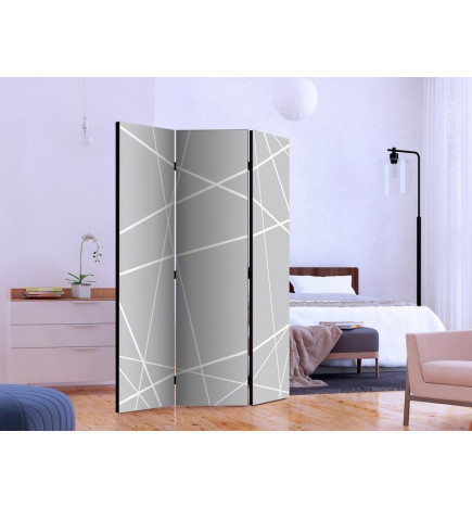 Room Divider - Modern Cobweb