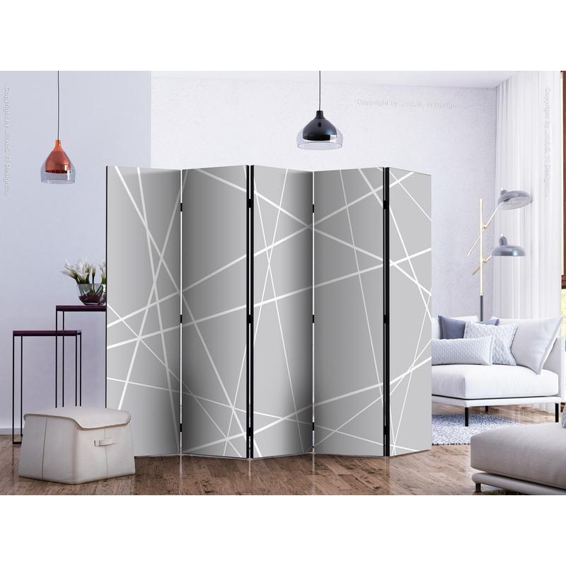 128,00 € Room Divider - Modern Cobweb II
