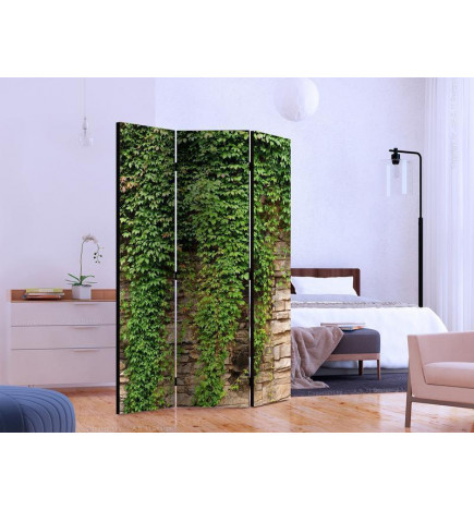 Room Divider - Ivy wall