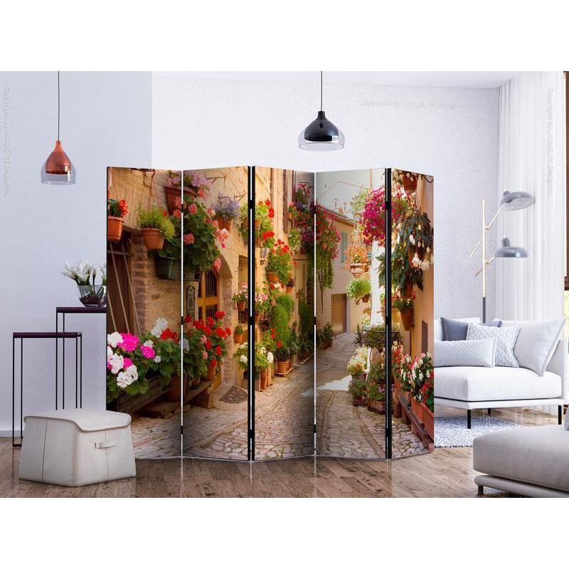 128,00 € Room Divider - The Alley in Spello (Italy) II