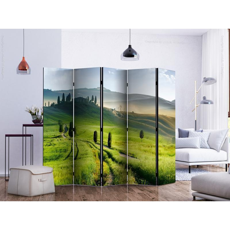 128,00 € Room Divider - Morning in the countryside II