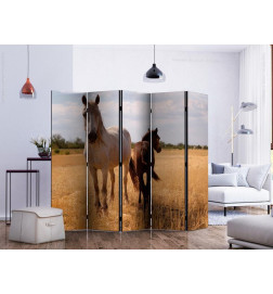 Room Divider - Horse and foal II