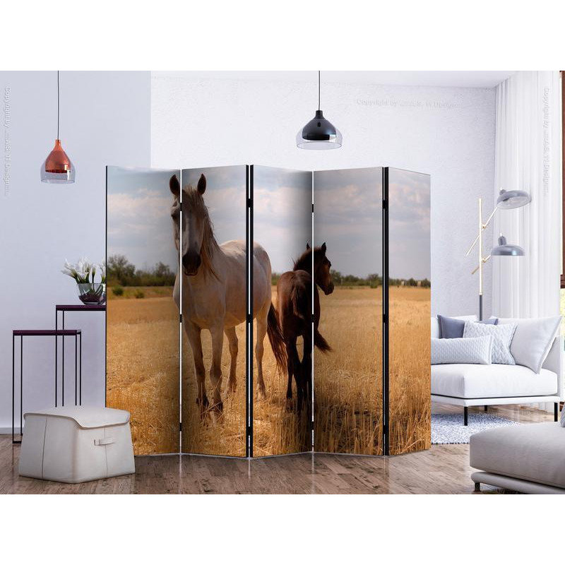 128,00 € Room Divider - Horse and foal II
