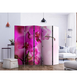 Paravento - Pink orchid II