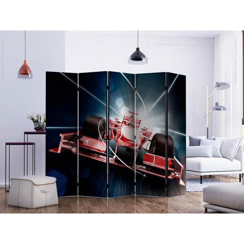 128,00 € Room Divider - Speed and dynamics of Formula 1 II