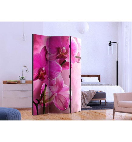 Room Divider - Pink Orchid