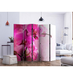 Room Divider - Pink Orchid II