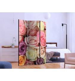 Room Divider - Pastel roses