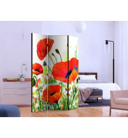 101,00 €Paravent - Country poppies