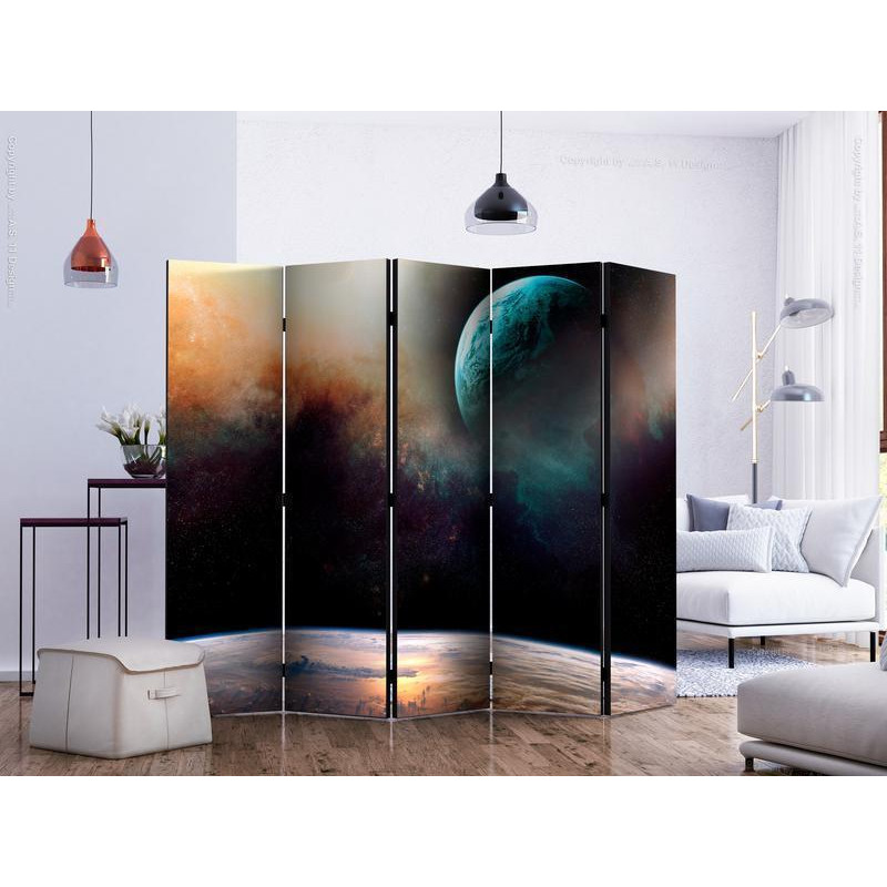 172,00 € Room Divider - Like being on another planet II