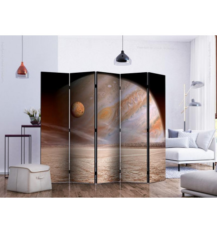 172,00 € Room Divider - A small and a big planet II
