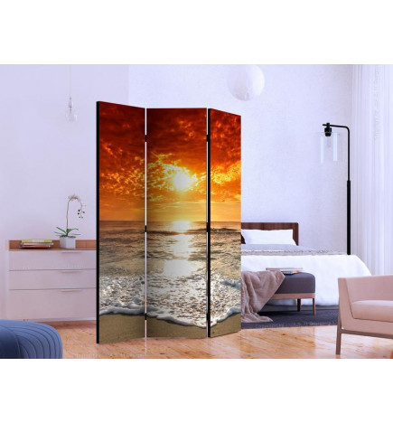Room Divider - Marvelous sunset