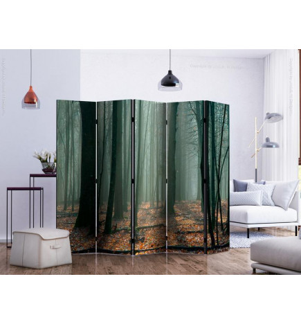 172,00 € Room Divider - Witches forest II