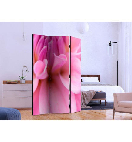 Room Divider - Flower petals - dahlia