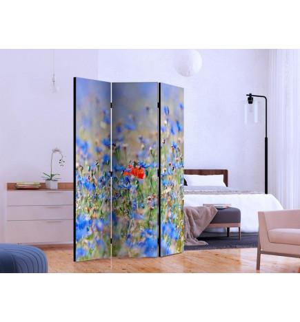 Room Divider - A sky-colored meadow - cornflowers