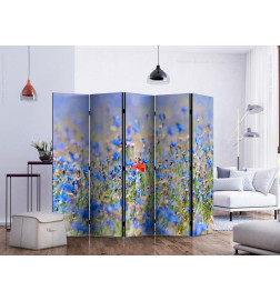 128,00 €Paravent - A sky-colored meadow - cornflowers II