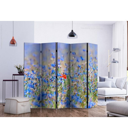 128,00 € Room Divider - A sky-colored meadow - cornflowers II