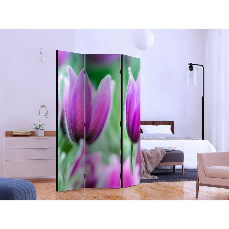 101,00 € Paravan - Purple spring tulips
