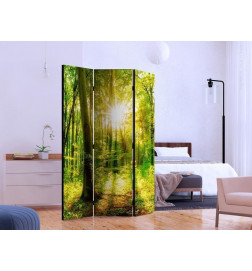 101,00 € Biombo - Forest Rays