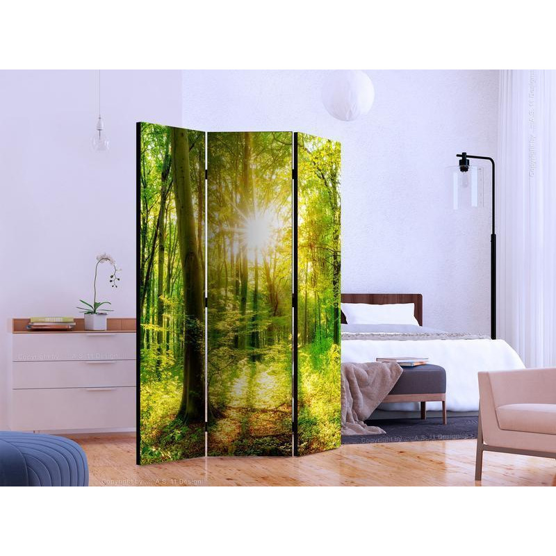 101,00 €Paravent - Forest Rays