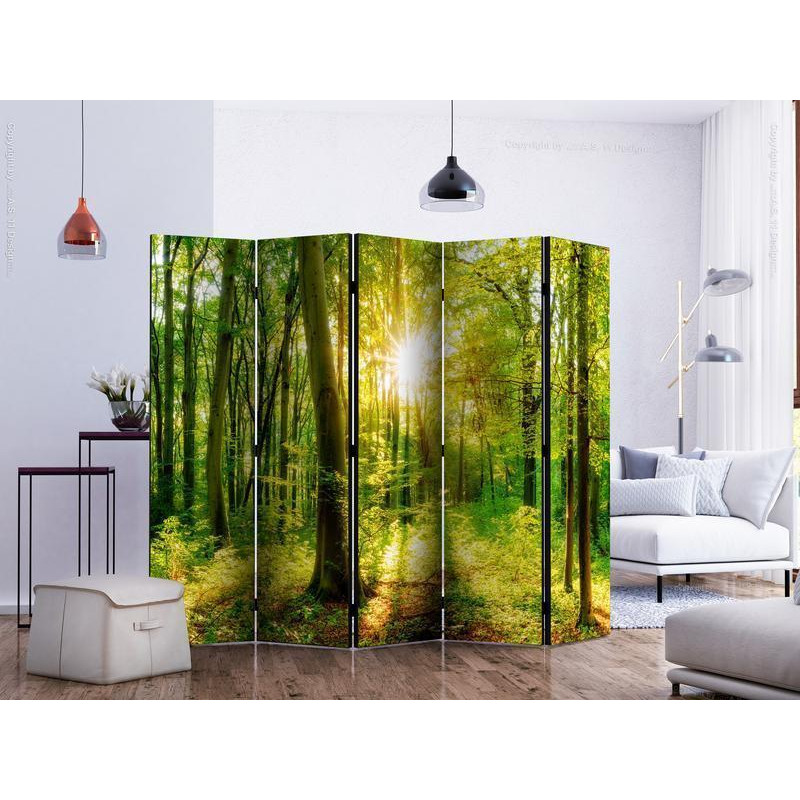 172,00 € Room Divider - Forest Rays II