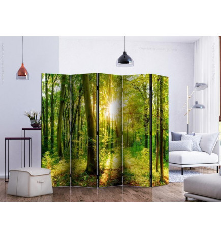 172,00 € Paravent - Forest Rays II