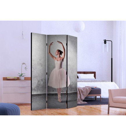 101,00 € Paravent - Ballerina in Degas paintings style