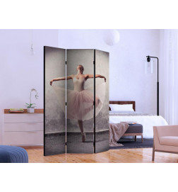 101,00 € Room Divider - Classical dance - poetry without words