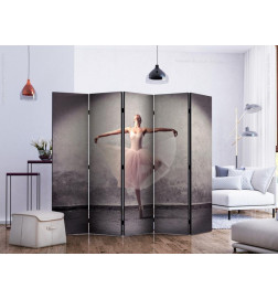 128,00 € Room Divider - Classical dance - poetry without words II