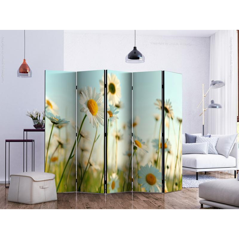 128,00 € Paravent - Daisies - spring meadow II