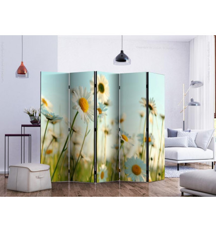 Room Divider - Daisies - spring meadow II
