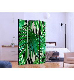 101,00 € Sirm - Tropical Leaves