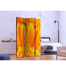 101,00 € Room Divider - Yellow gerbera daisies