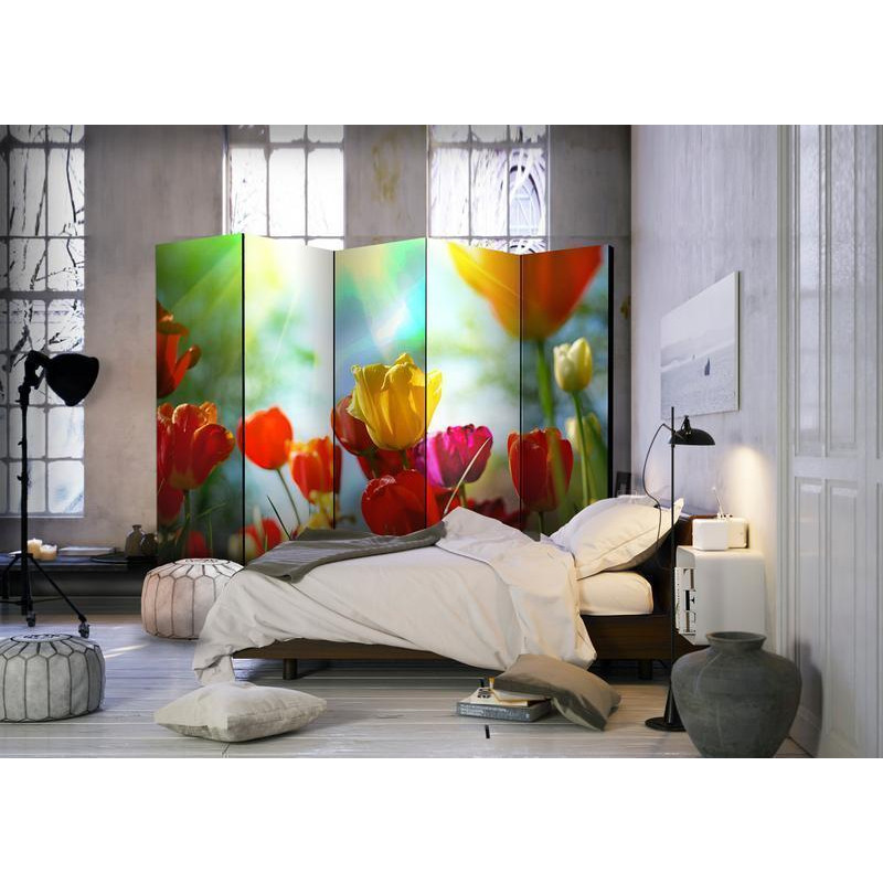 128,00 € Paravent - Spring Tulips II