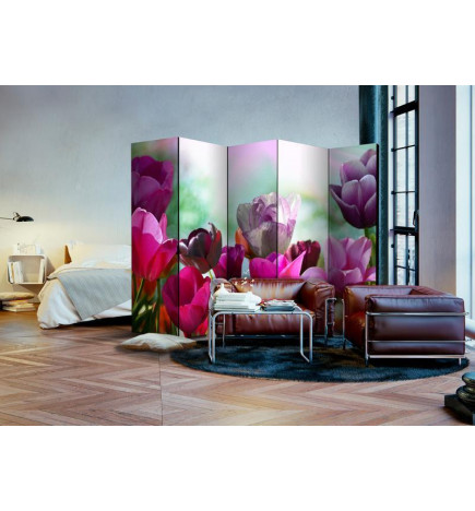 Room Divider - Beautiful Tulips II