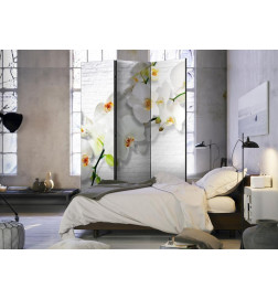 101,00 € Room Divider - The Urban Orchid
