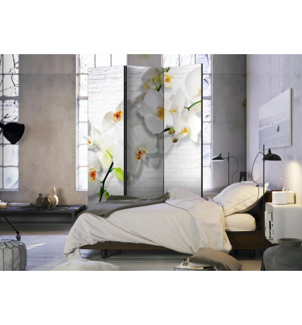 101,00 € Room Divider - The Urban Orchid