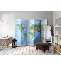 Room Divider - World Map