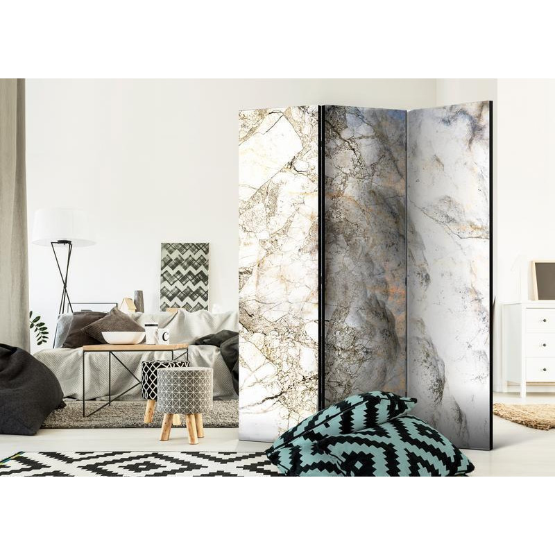 101,00 € Room Divider - Marble Mystery