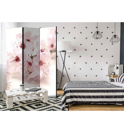 101,00 € Room Divider - Cherry Blossom