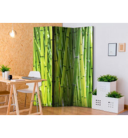 101,00 €Biombo - Bamboo Forest