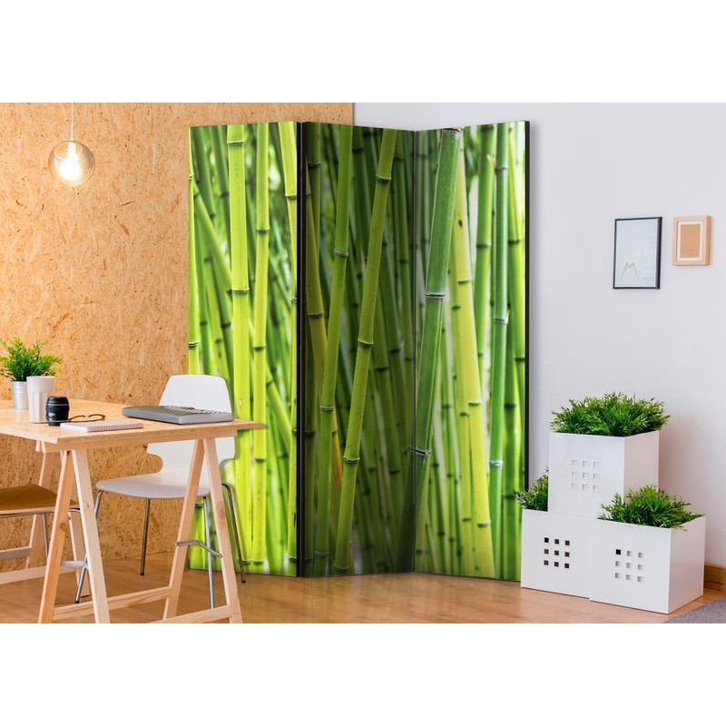 101,00 € Biombo - Bamboo Forest